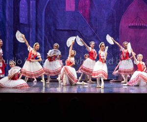 coppelia (101)