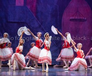 coppelia (104)