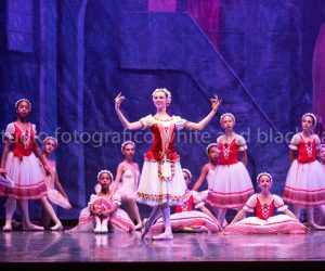 coppelia (105)