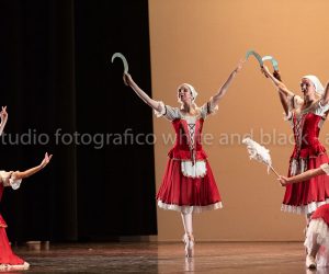 coppelia (130)
