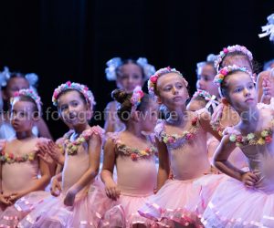 coppelia (155)