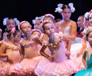 coppelia (156)