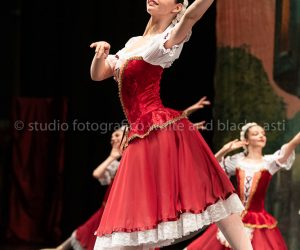 coppelia (17)