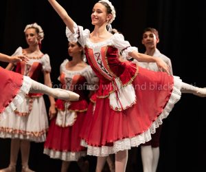 coppelia (173)