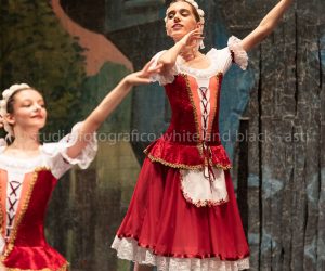 coppelia (18)