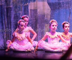 coppelia (202)