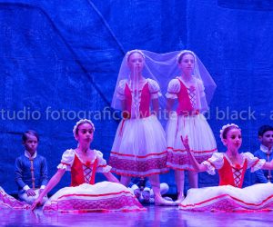 coppelia (217)