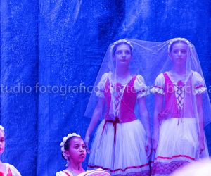 coppelia (219)
