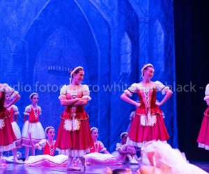 coppelia (221)