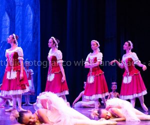 coppelia (226)