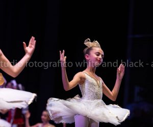 coppelia (228)