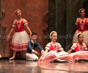 coppelia (229)