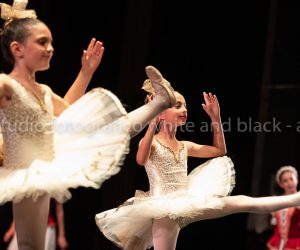 coppelia (230)