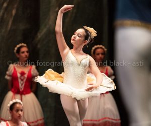 coppelia (231)