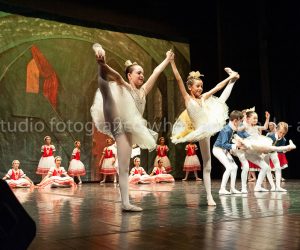 coppelia (233)