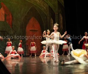 coppelia (234)