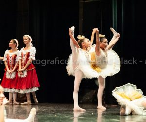 coppelia (236)