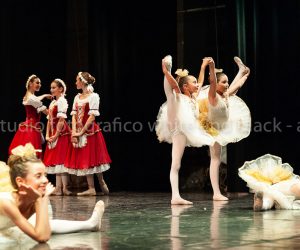 coppelia (237)