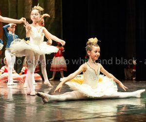 coppelia (240)