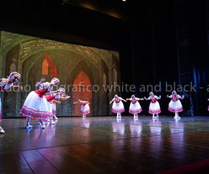 coppelia (244)