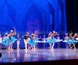 coppelia (249)