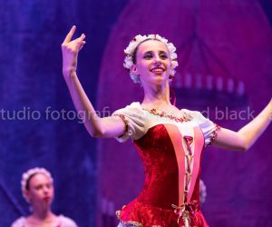 coppelia (260)