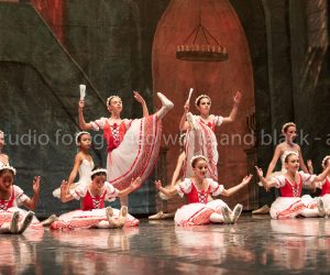 coppelia (262)