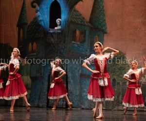 coppelia (41)