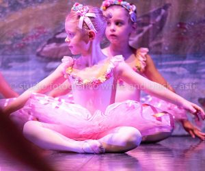 coppelia (47)