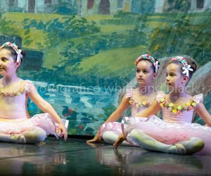 coppelia (50)