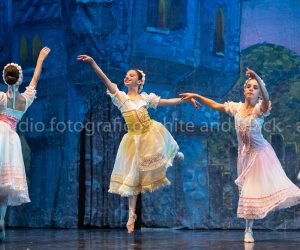 coppelia (57)