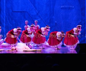 coppelia (68)