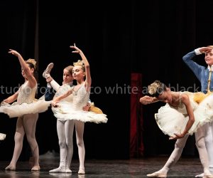 coppelia (80)