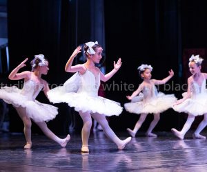 coppelia (90)