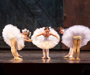 coppelia (95)
