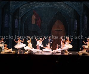 coppelia (96)